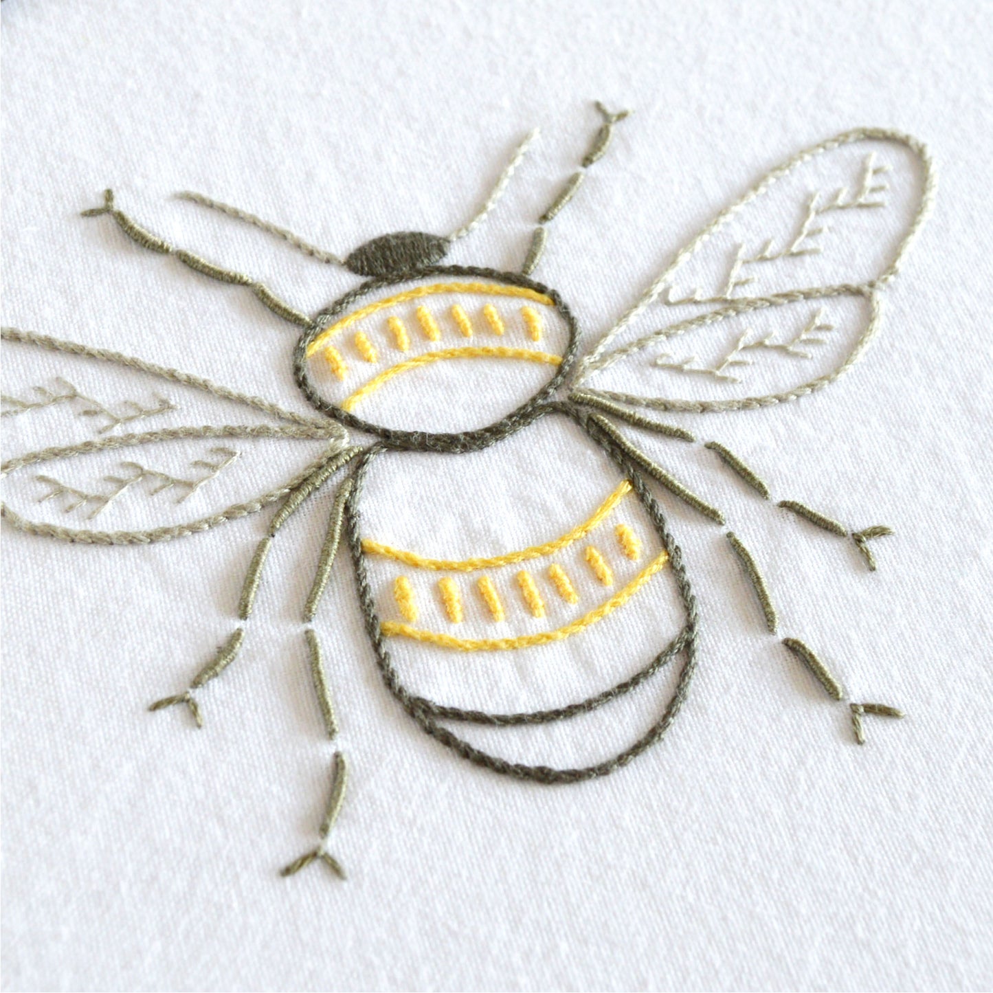 Anatomical Bee