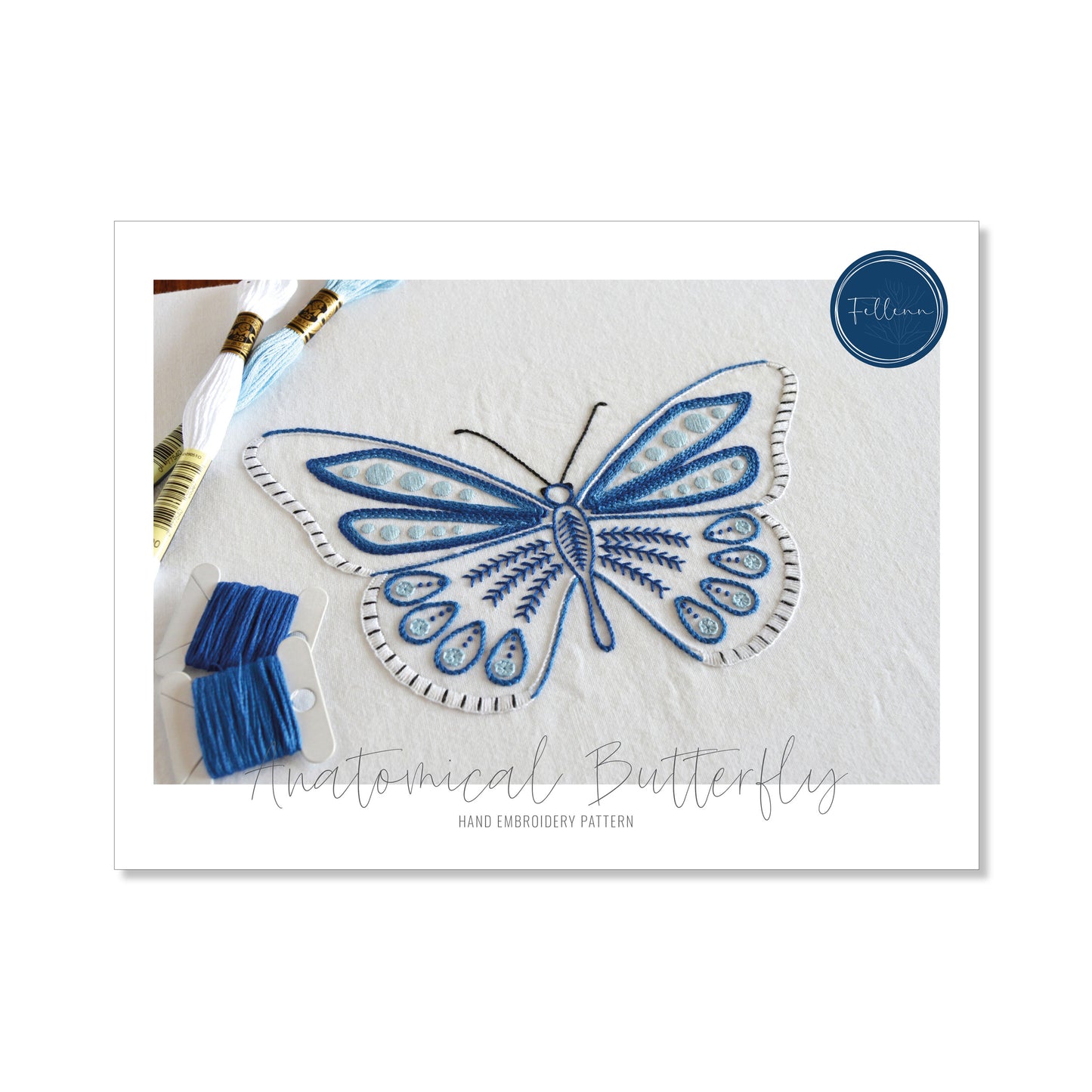 Anatomical Butterfly