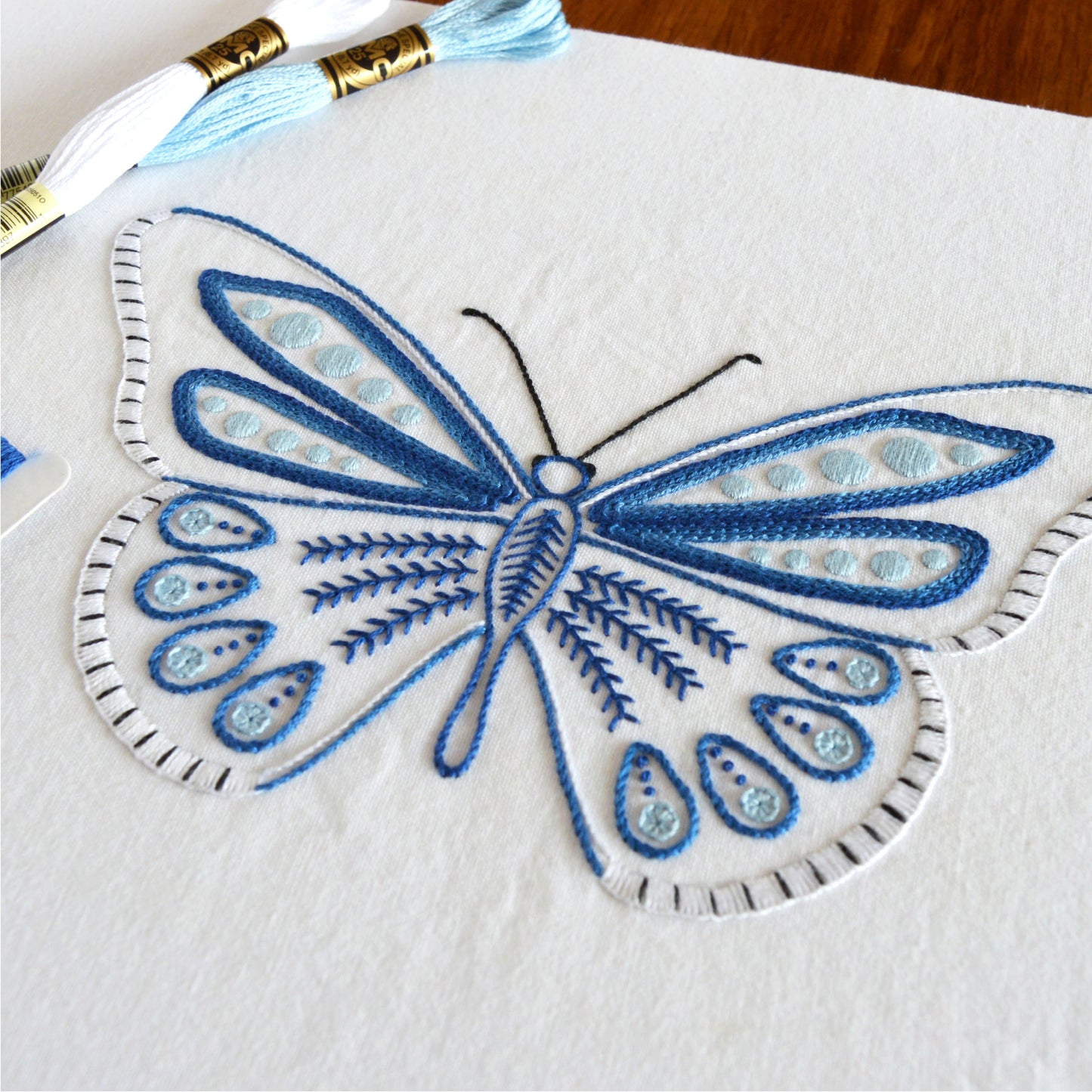 Anatomical Butterfly