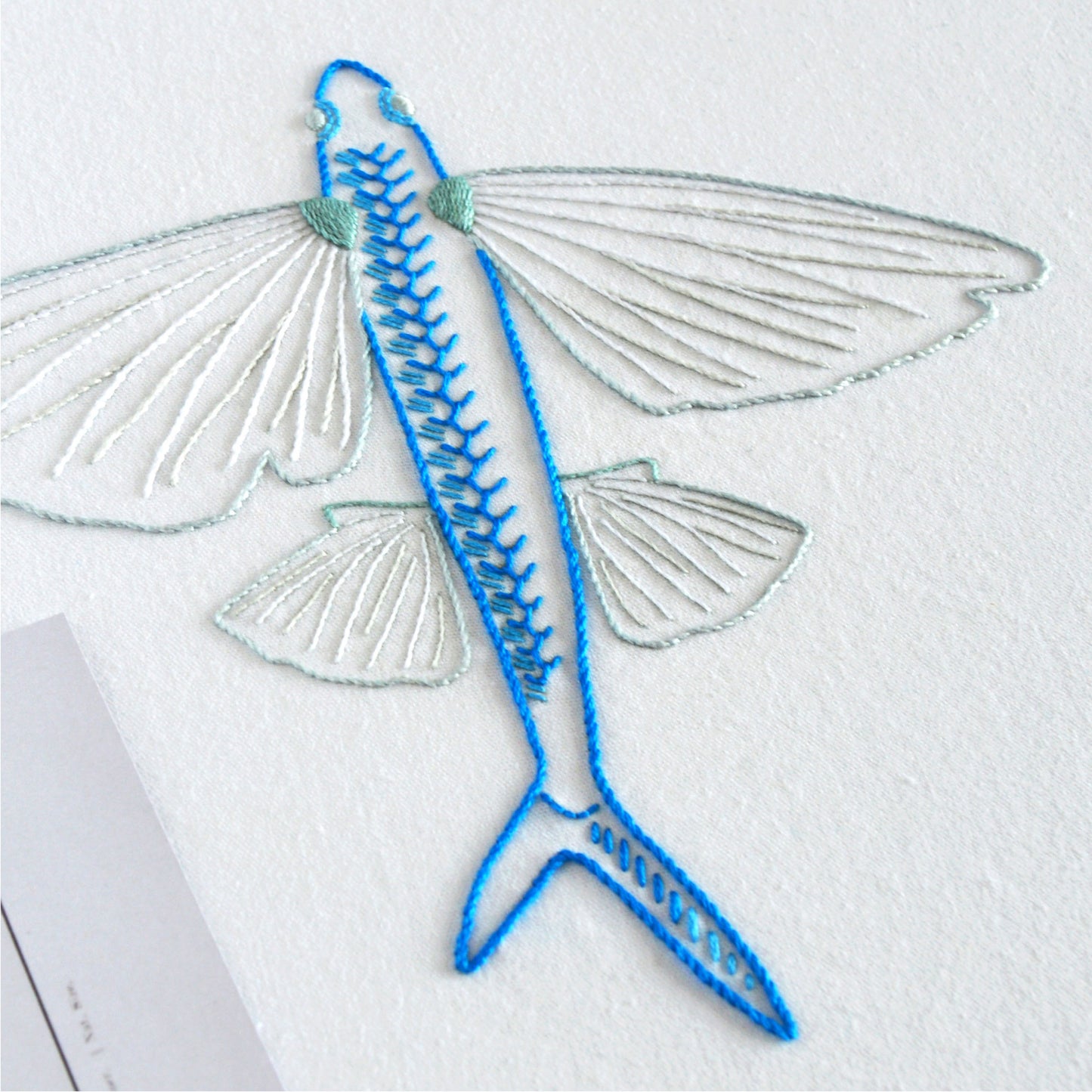Anatomical Flying Fish