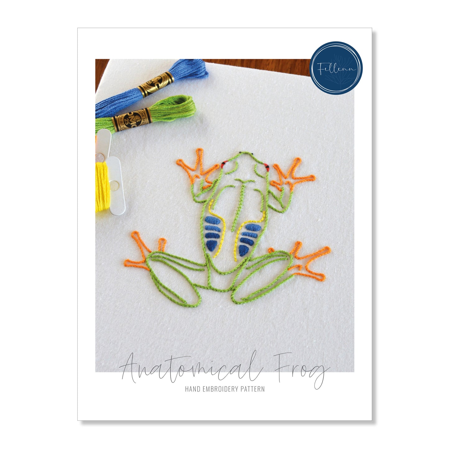 Anatomical Frog