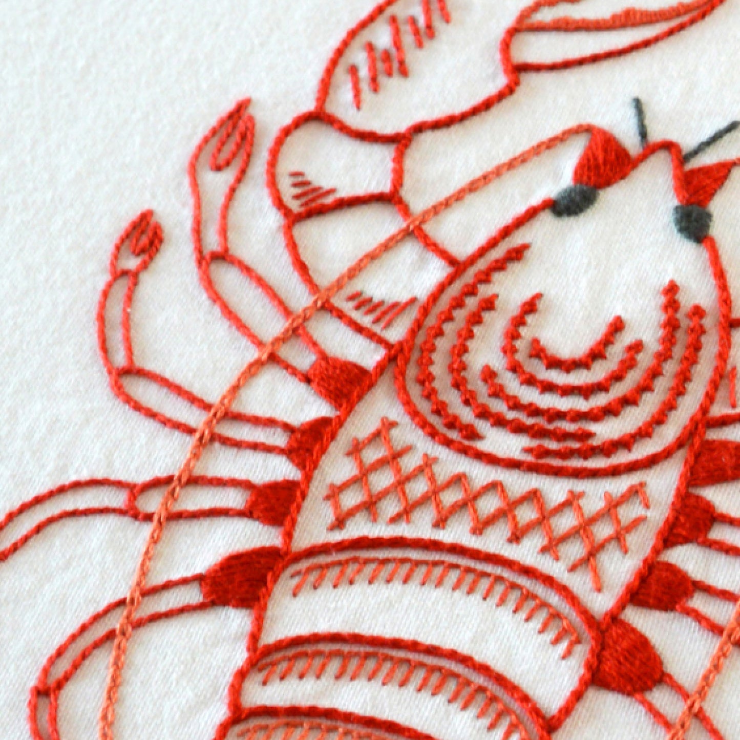 Anatomical Lobster