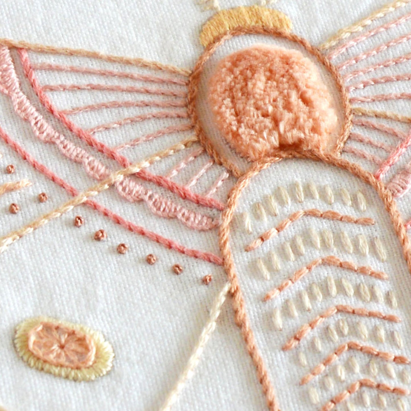 Anatomical Moth