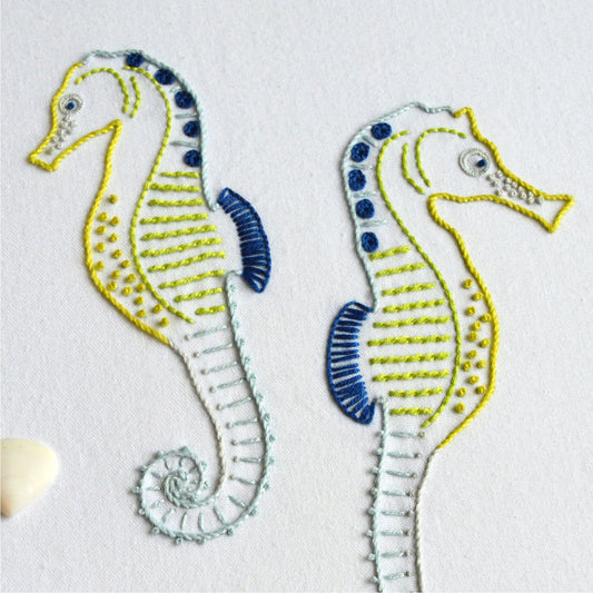 Anatomical Seahorses