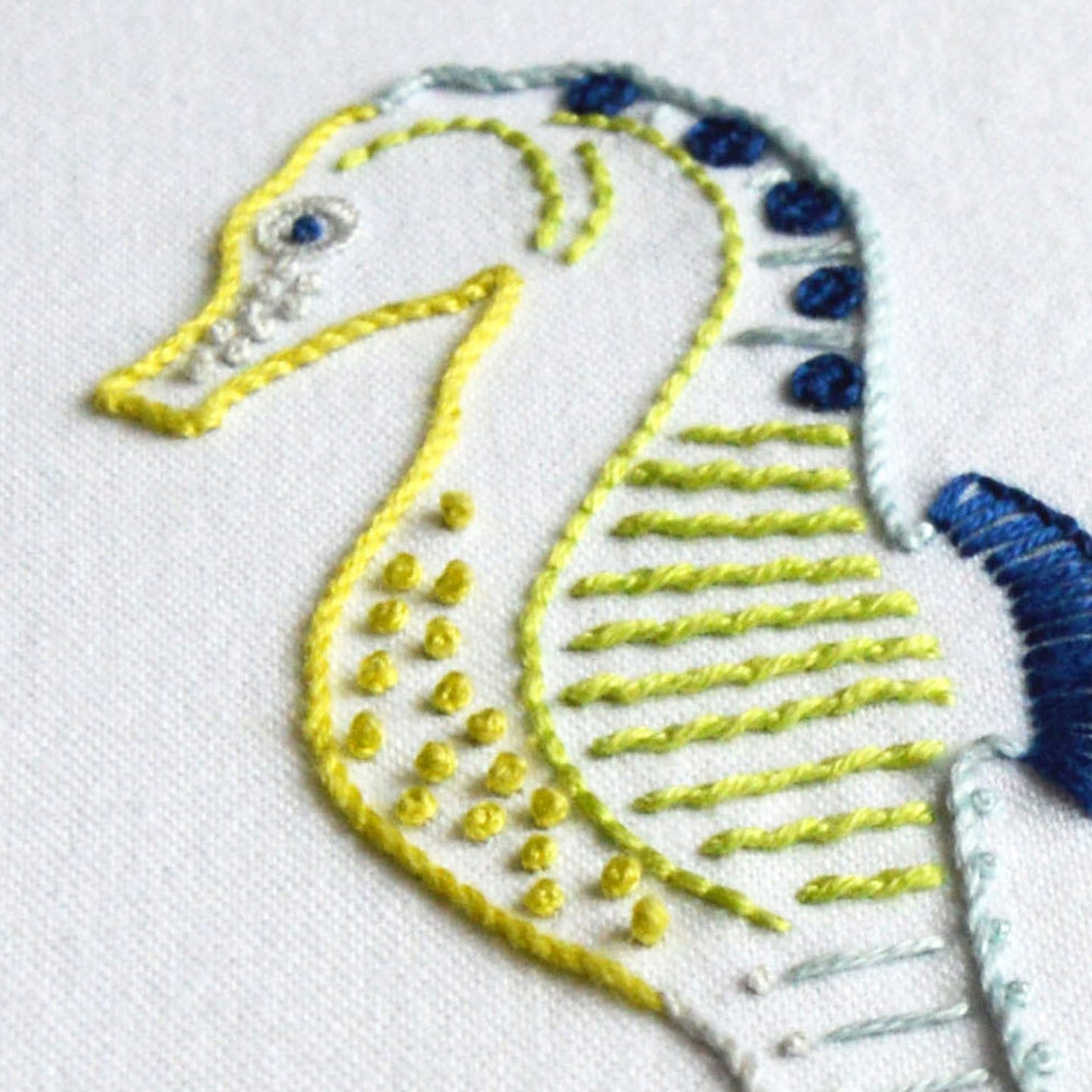 Anatomical Seahorses