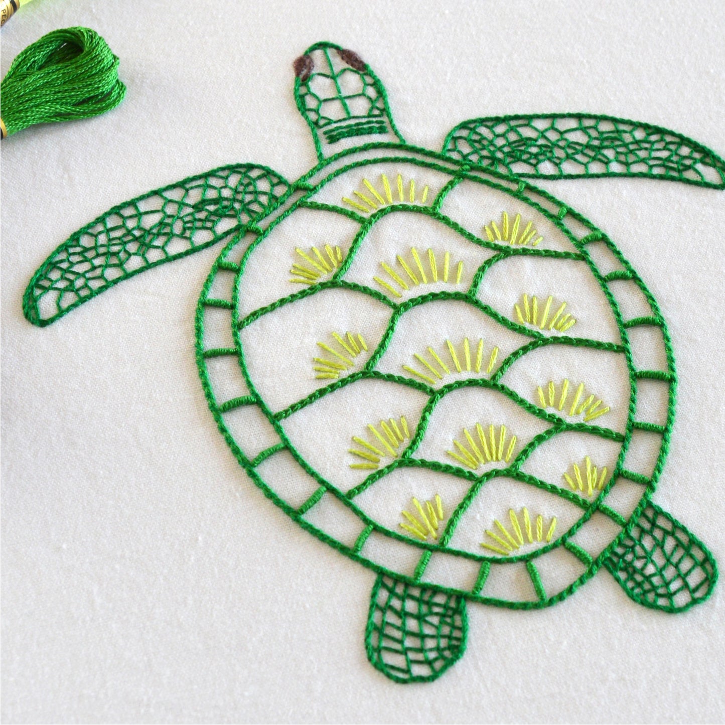 Anatomical Turtle