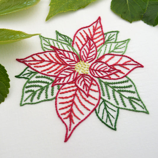 Poinsettia