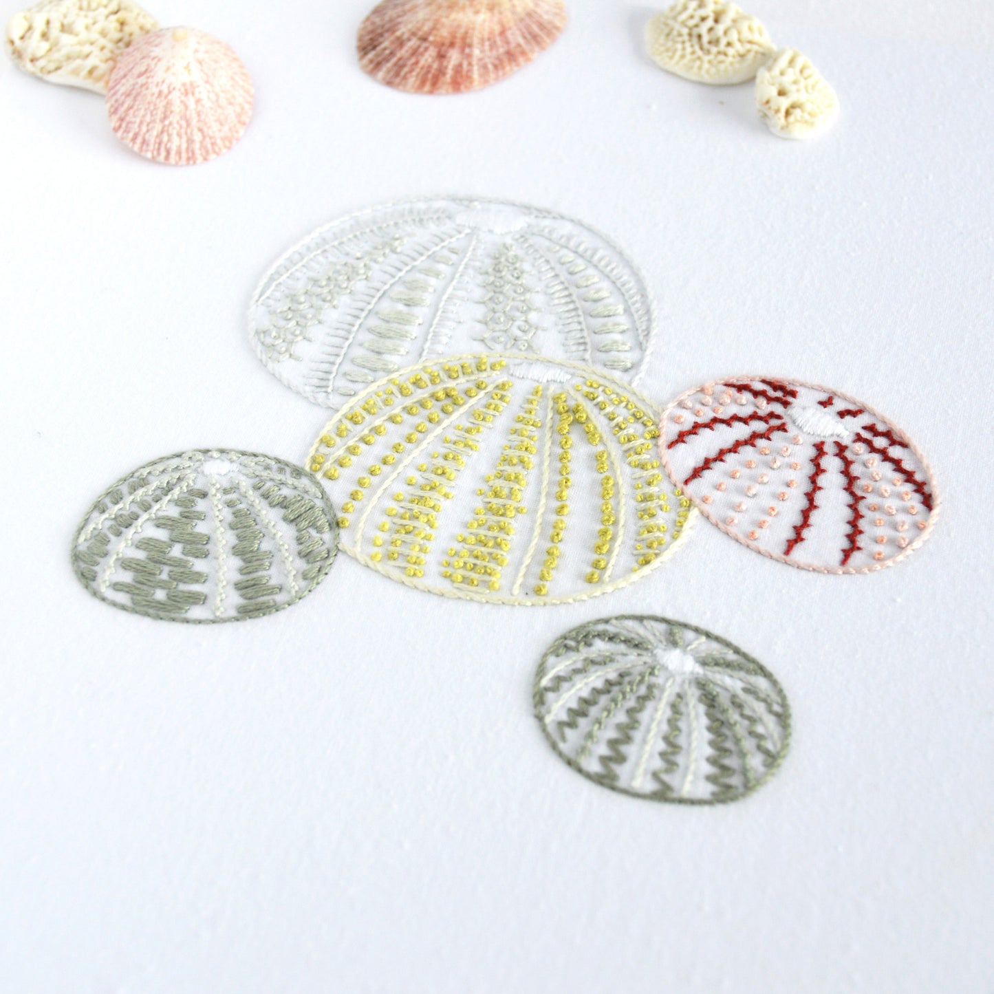 Sea Urchins I