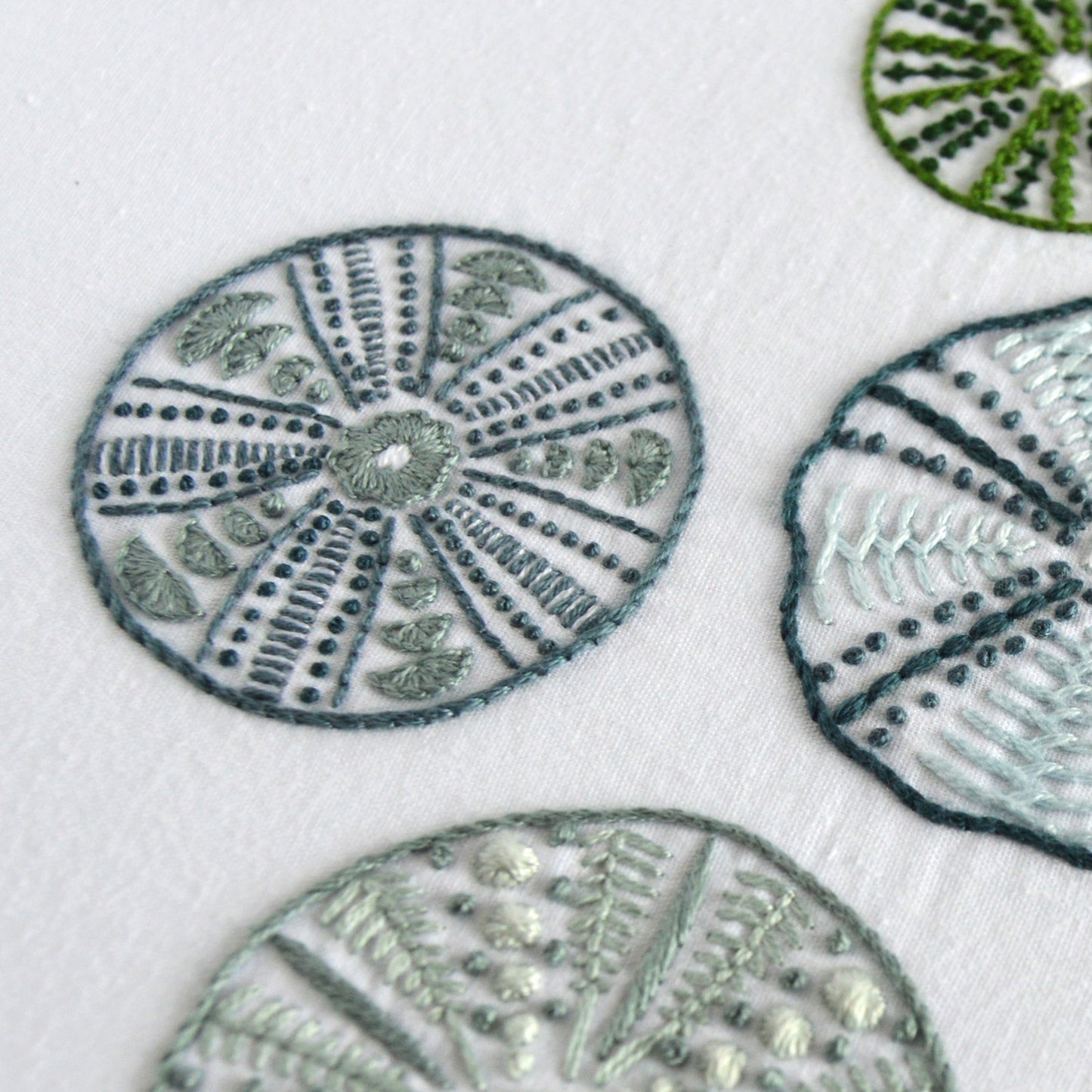 Sea Urchins II