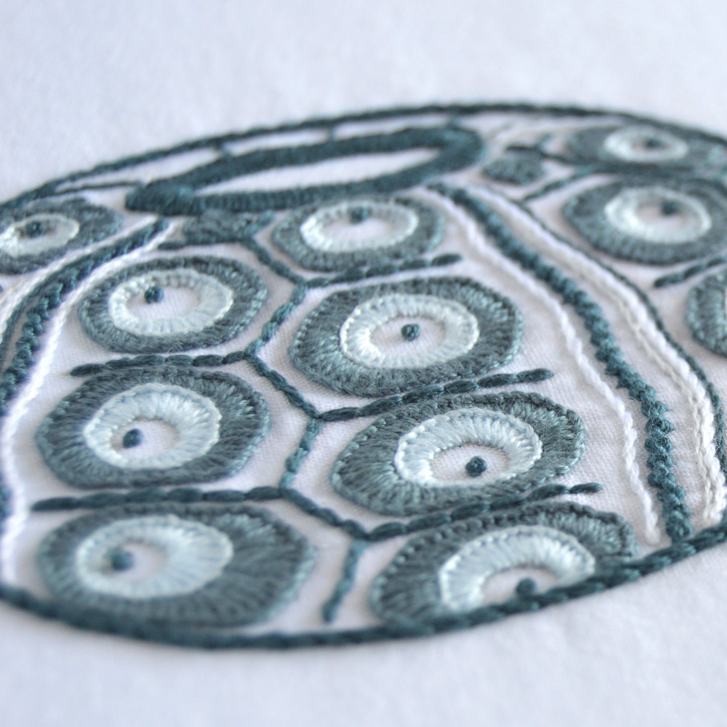 Sea Urchins III
