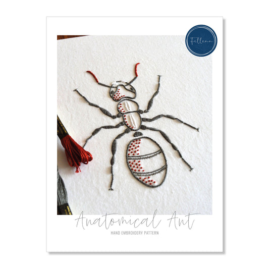 Anatomical Ant