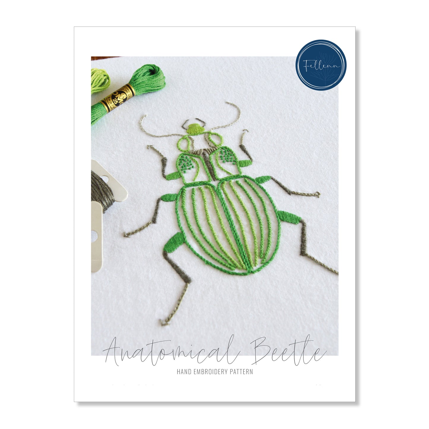 Anatomical Beetle