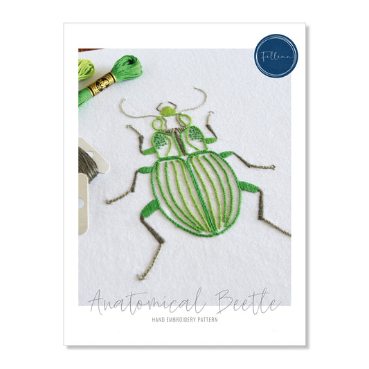 Anatomical Beetle