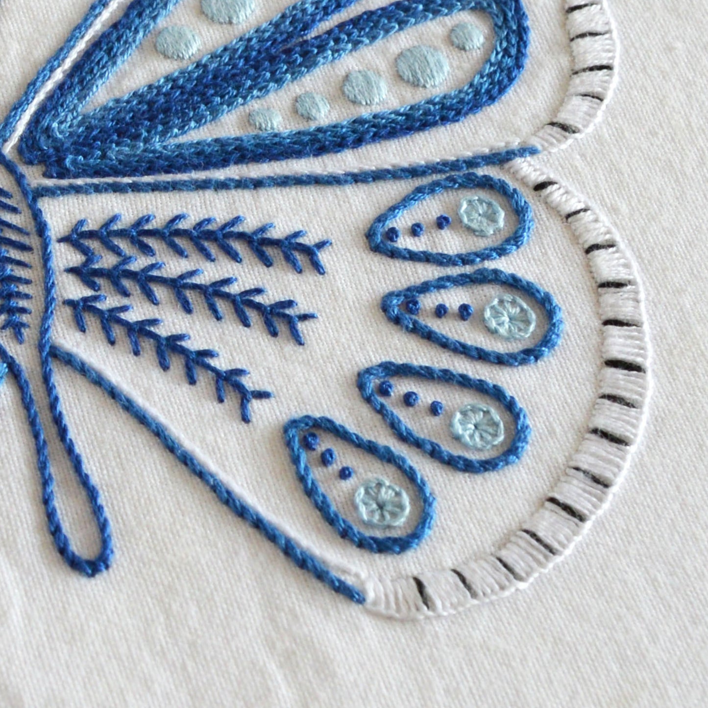Anatomical Butterfly