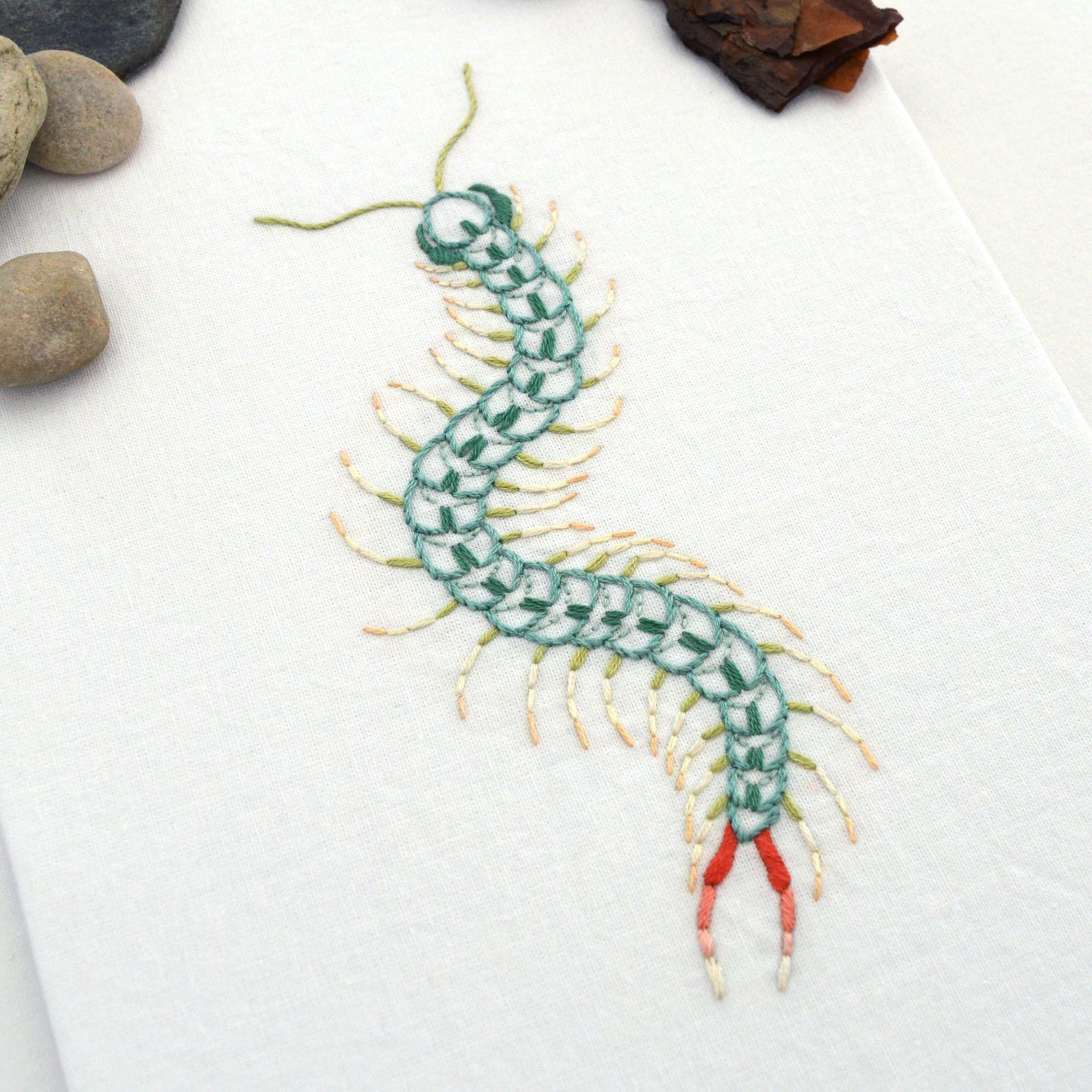 Anatomical Centipede