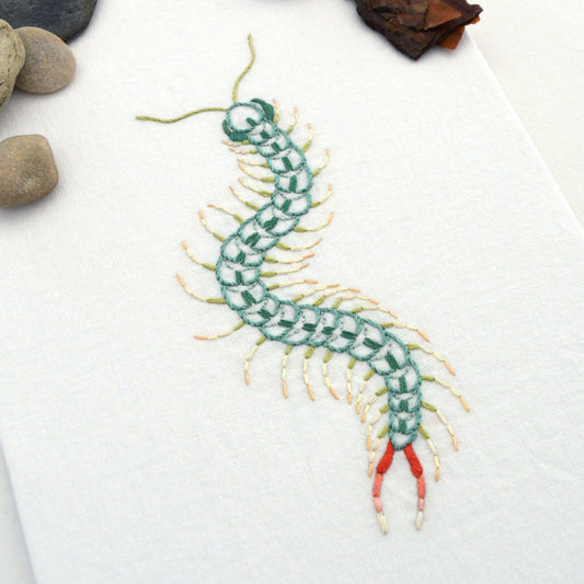 Anatomical Centipede
