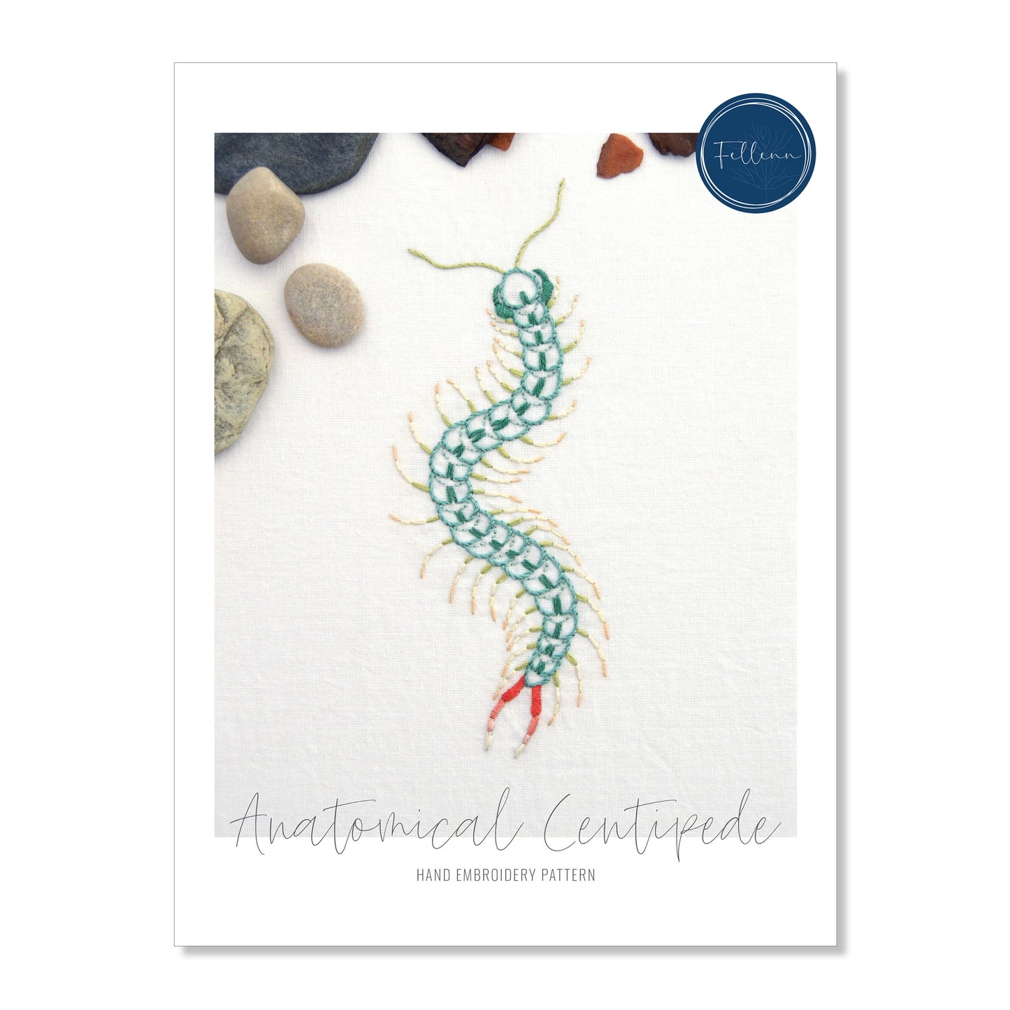 Anatomical Centipede