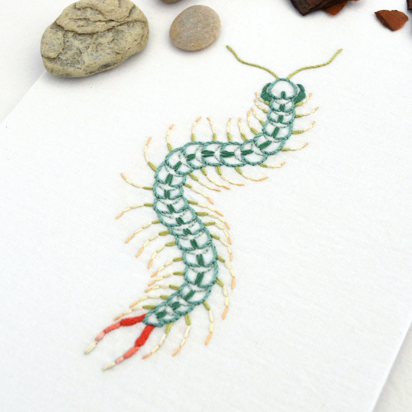 Anatomical Centipede