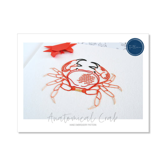 Anatomical Crab