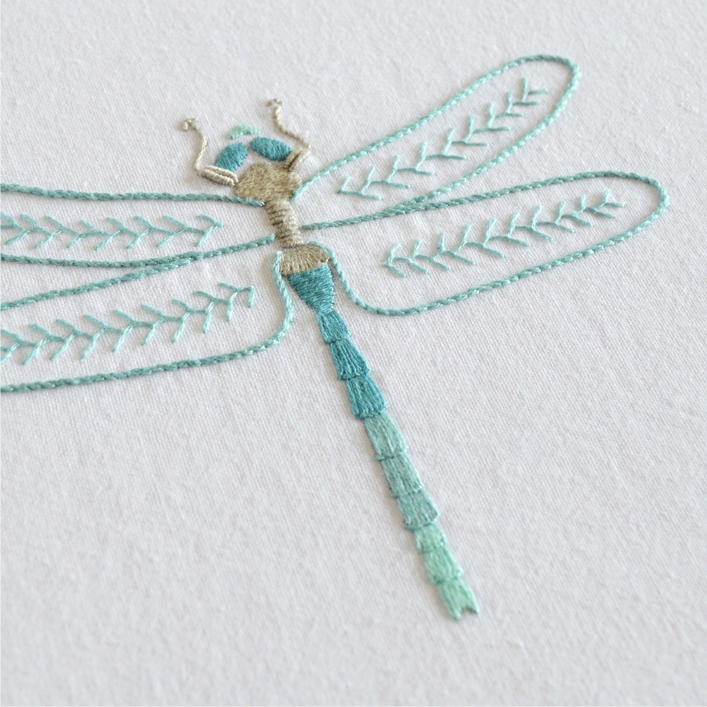 Anatomical Insects