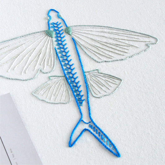 Anatomical Flying Fish
