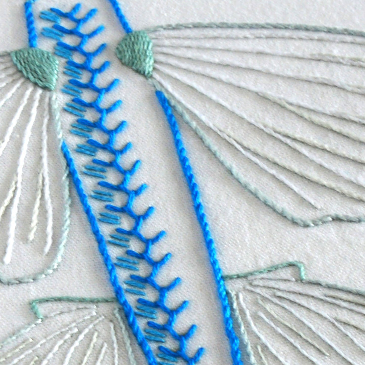 Anatomical Flying Fish