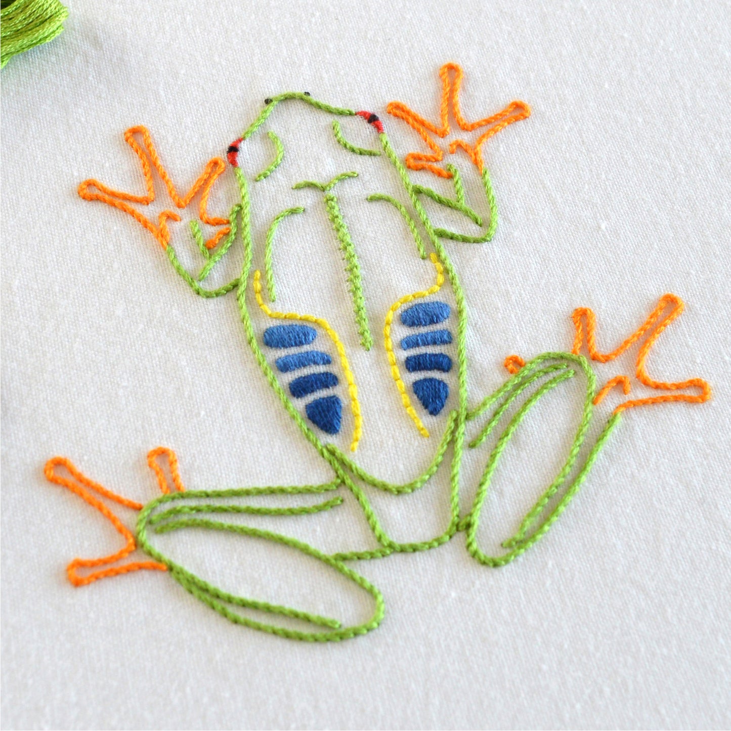 Anatomical Frog