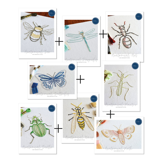 Anatomical Insects