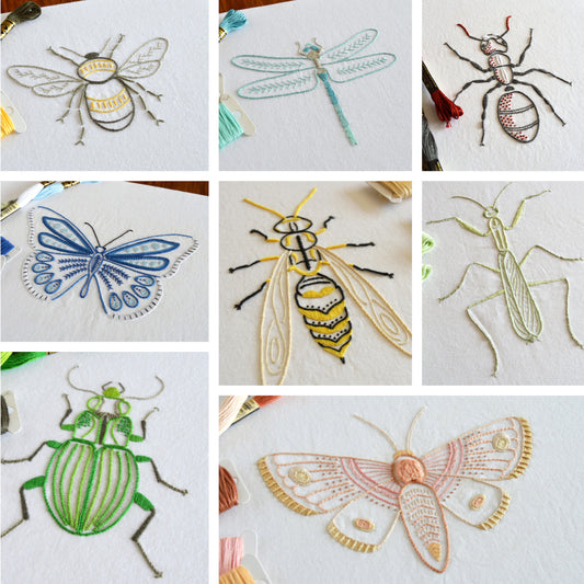 Anatomical Insects