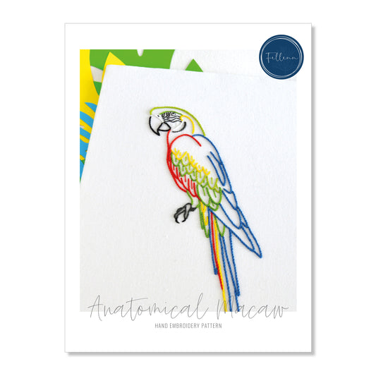 Anatomical Macaw