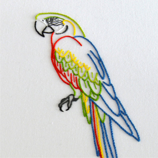 Anatomical Macaw
