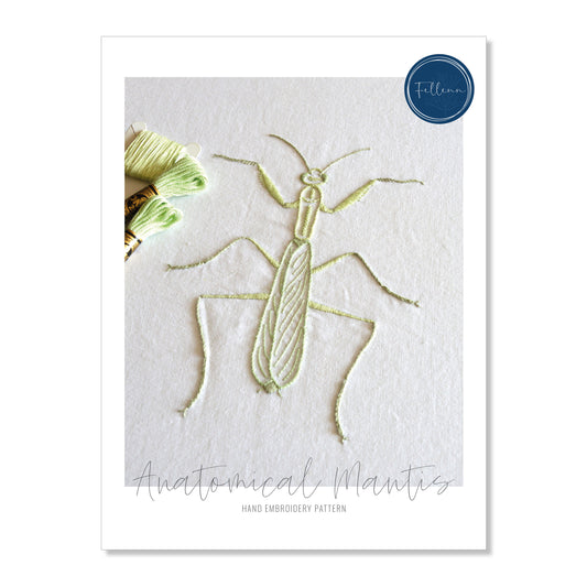 Anatomical Mantis
