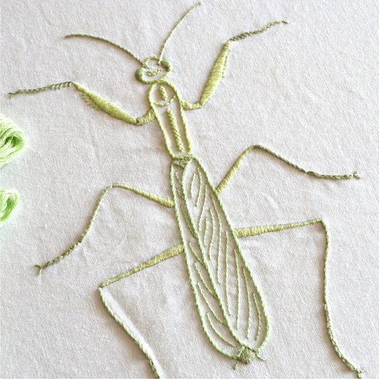 Anatomical Mantis
