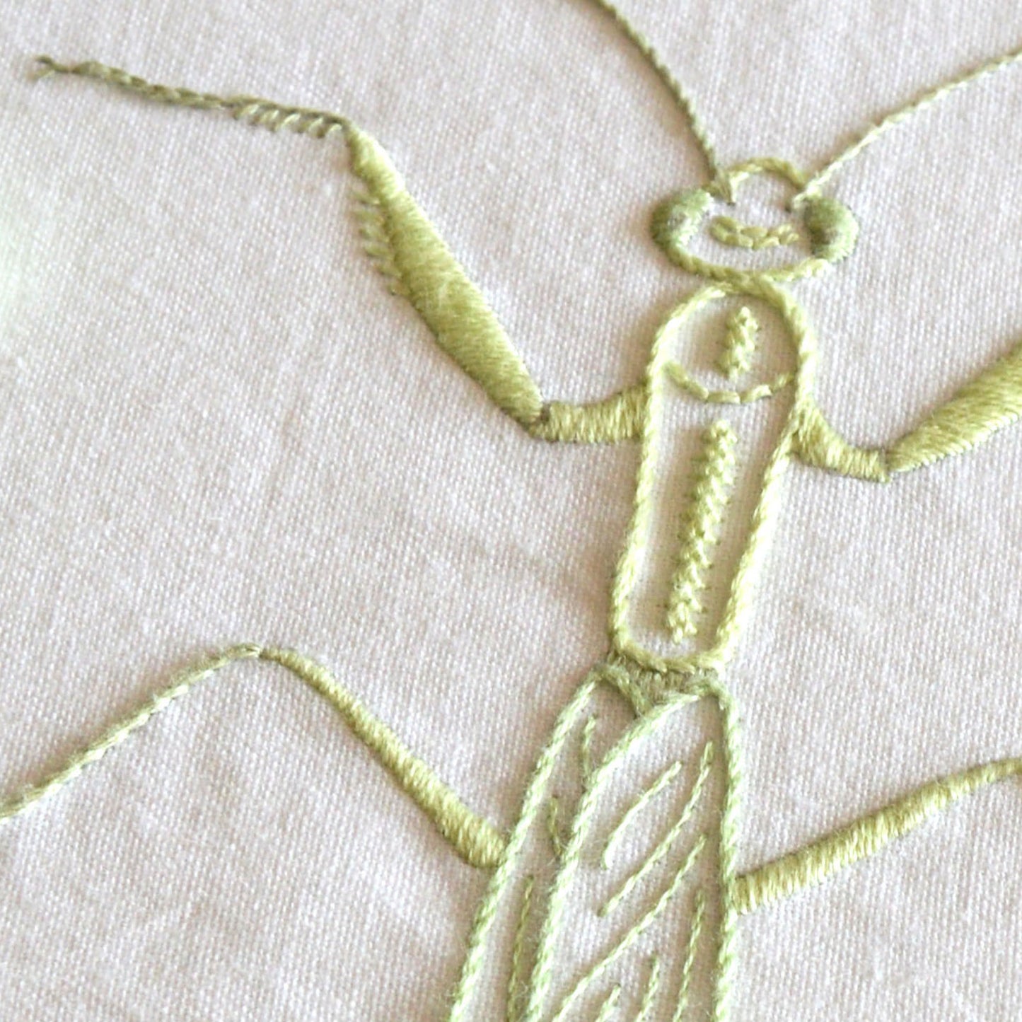 Anatomical Mantis