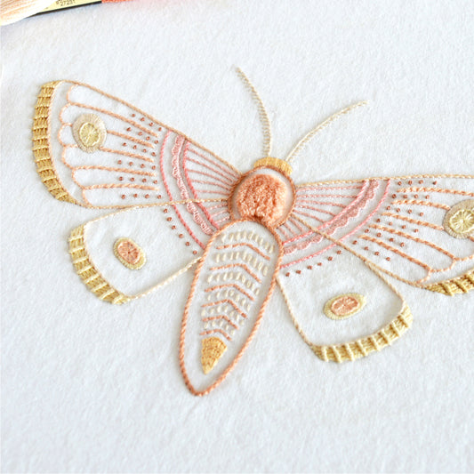 Anatomical Moth