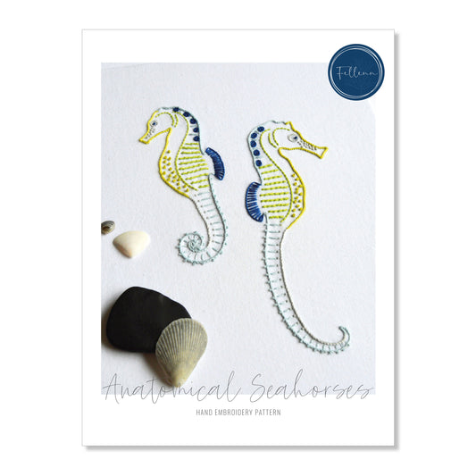 Anatomical Seahorses