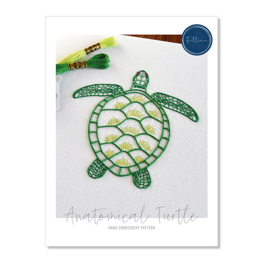 Anatomical Turtle