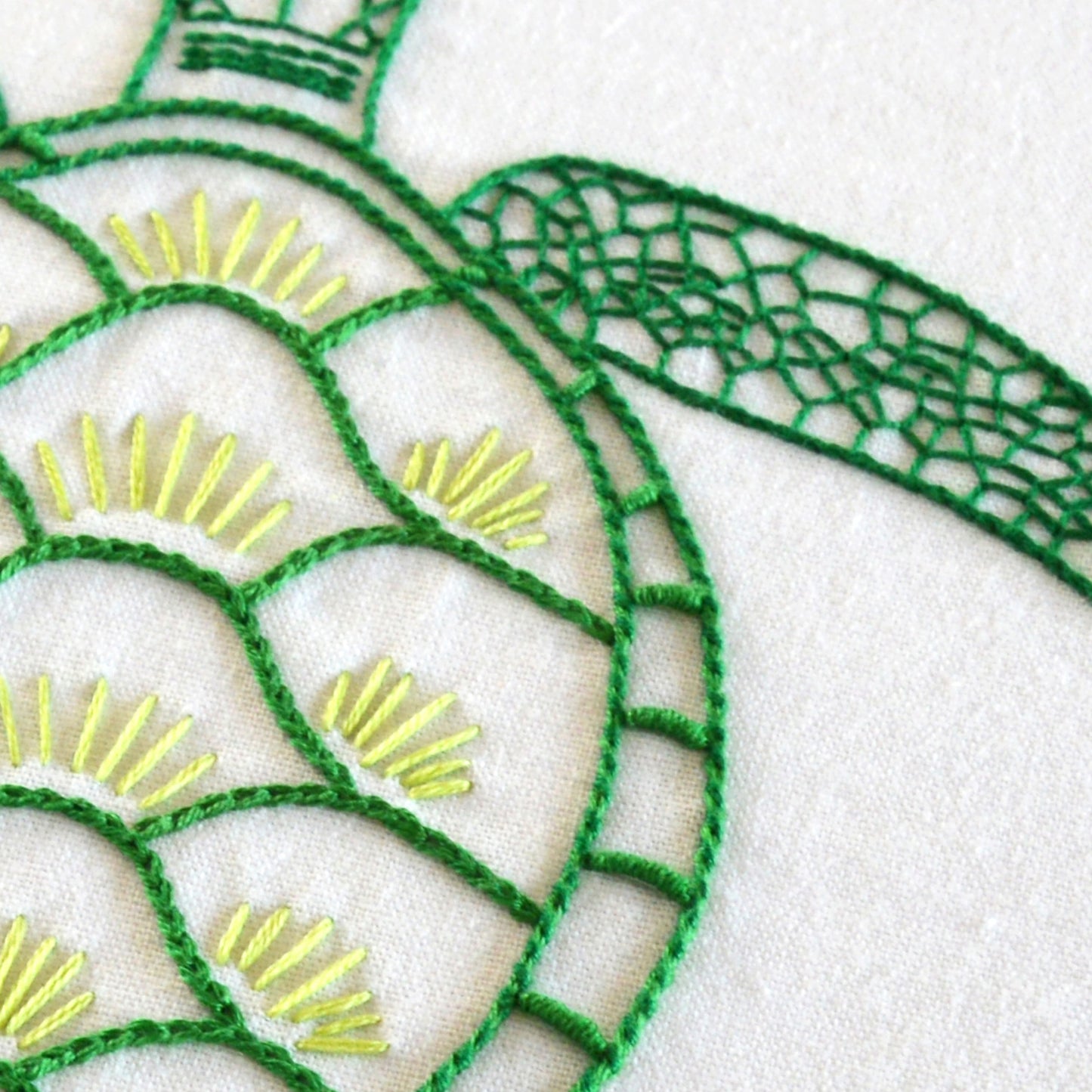 Anatomical Turtle