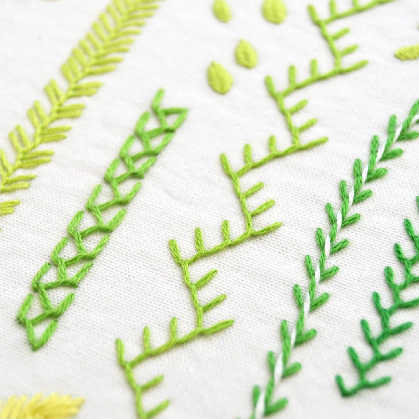 Fly + Feather Stitches