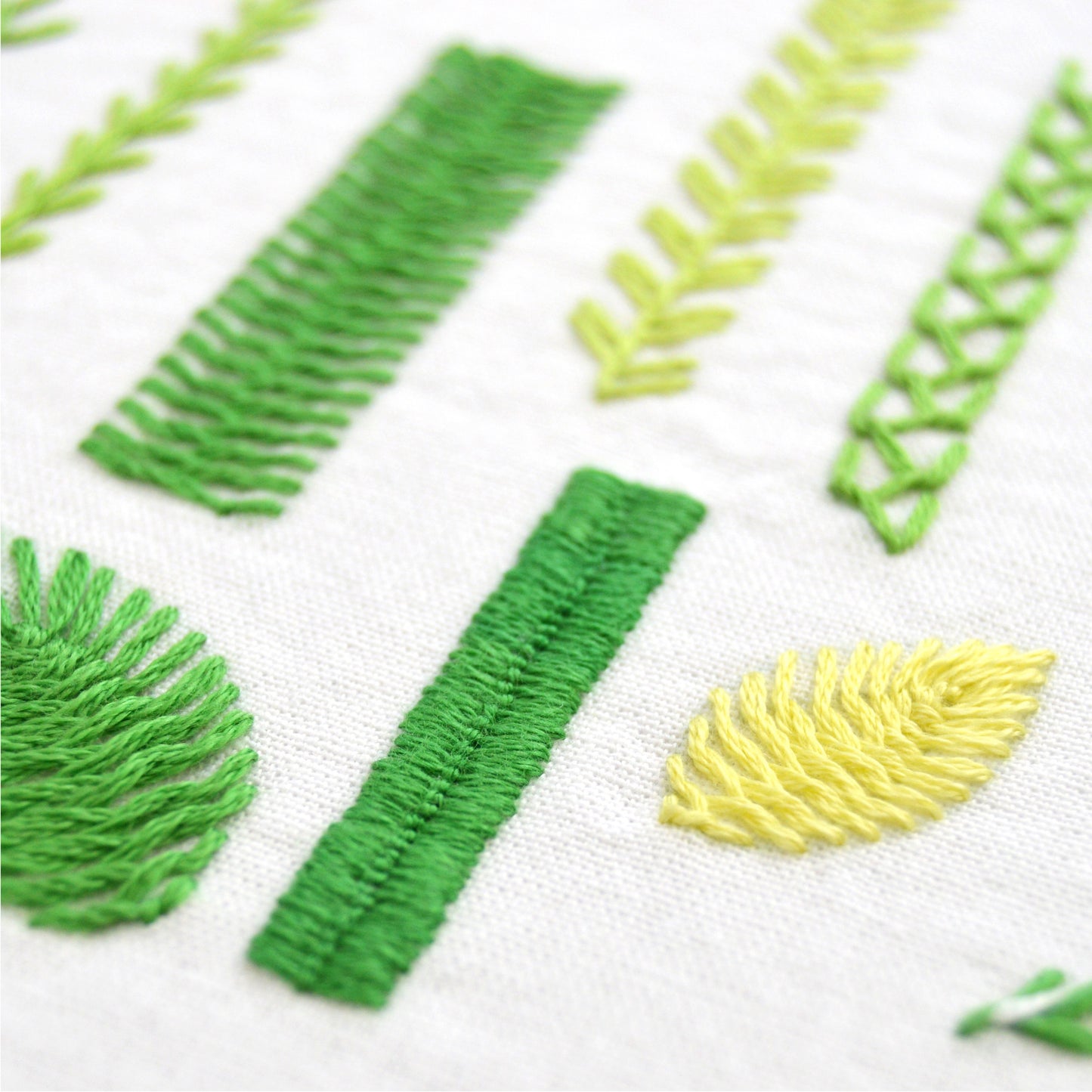 Fly + Feather Stitches