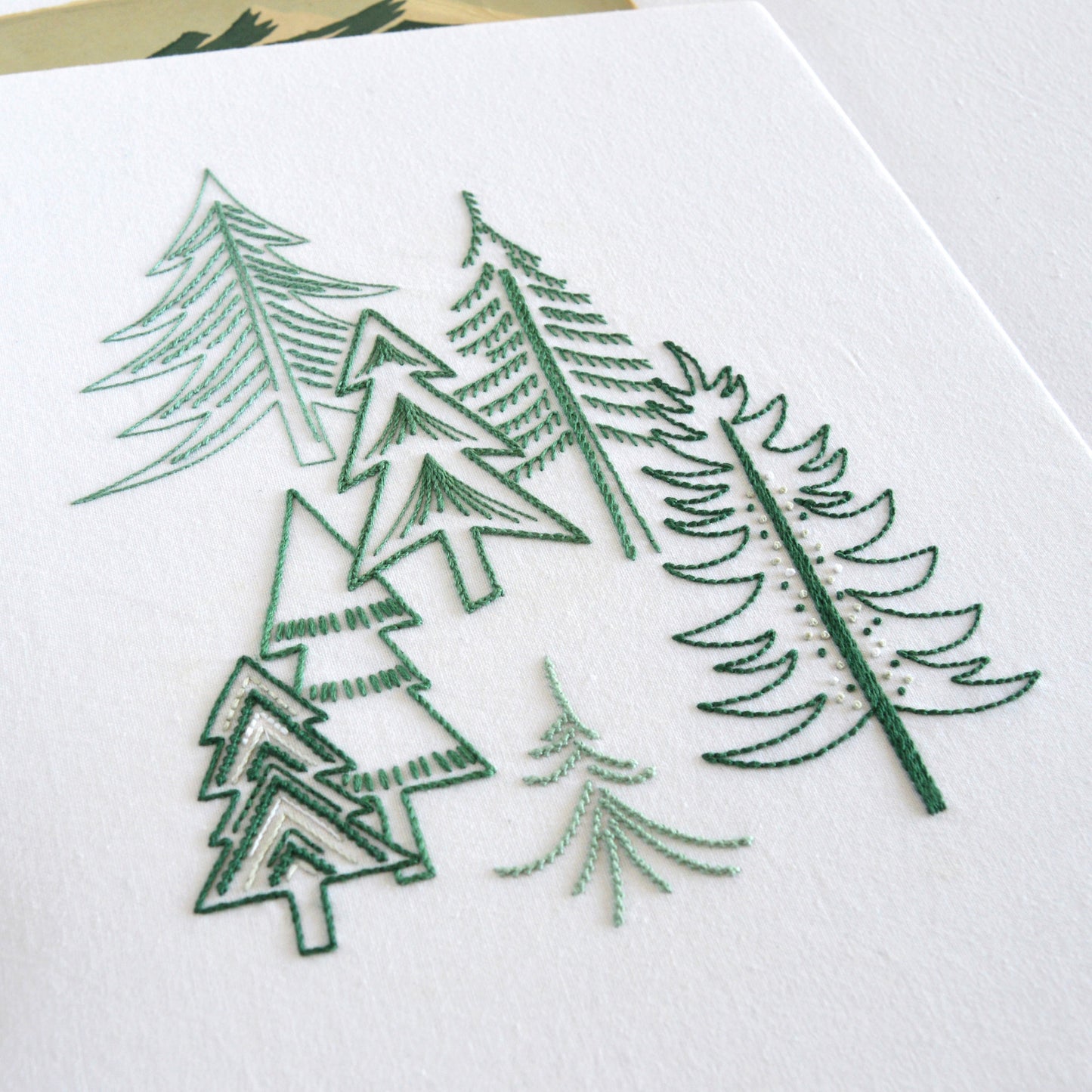 Pine Forest