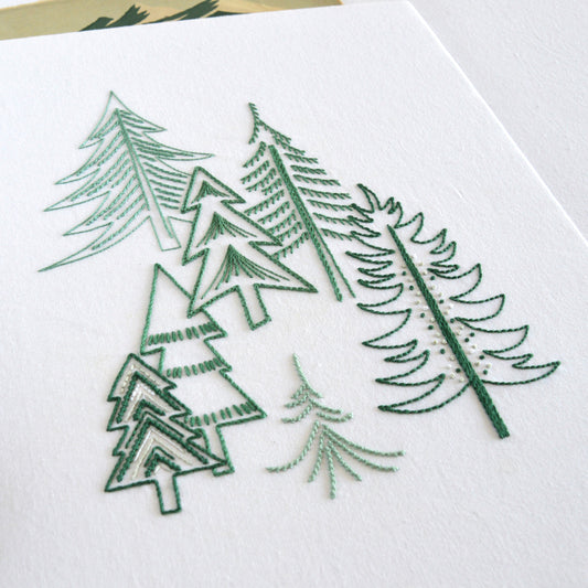 Pine Forest