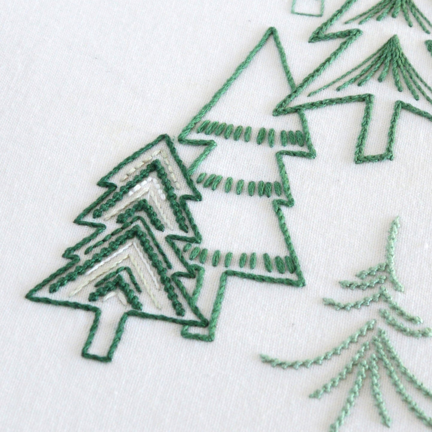 Pine Forest