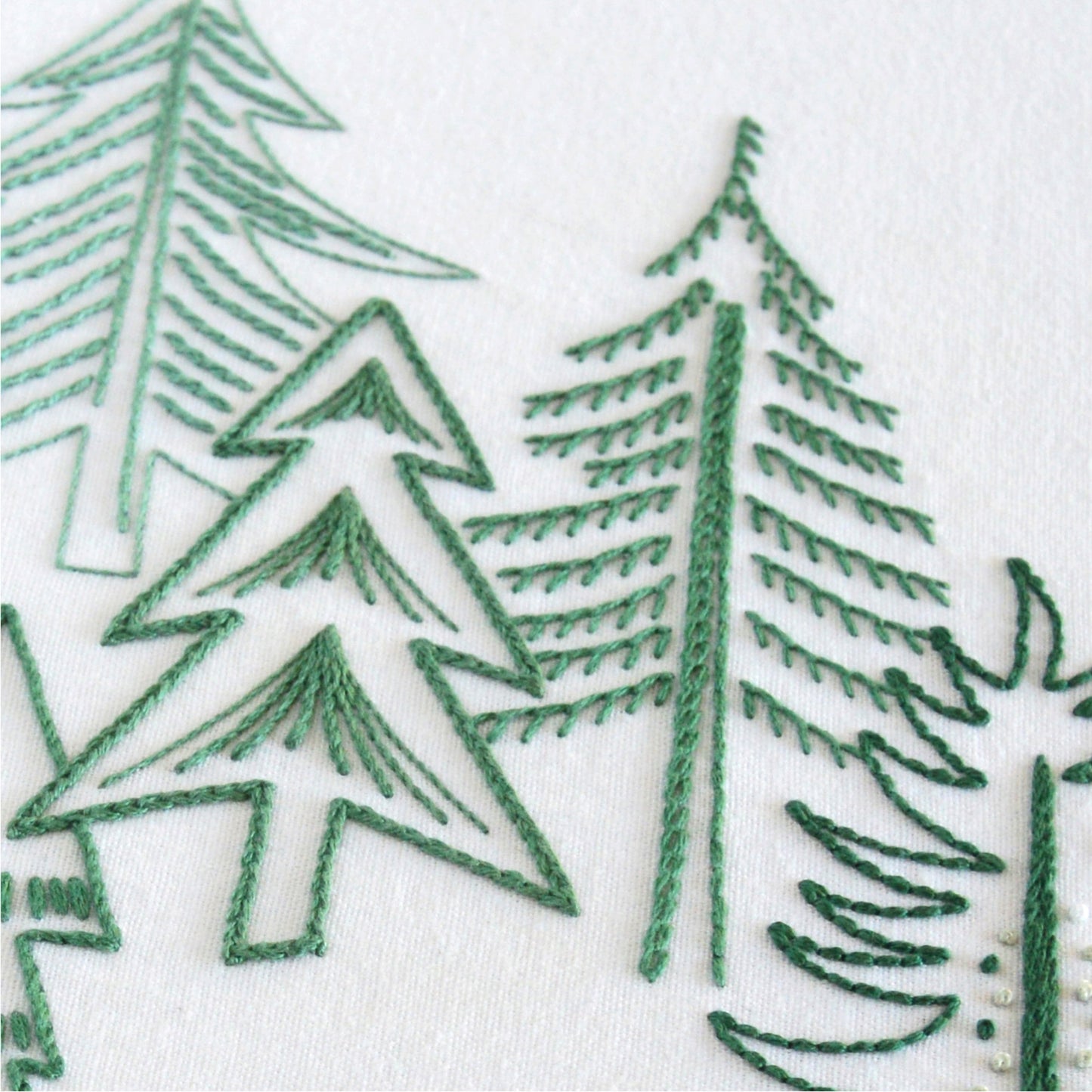 Pine Forest