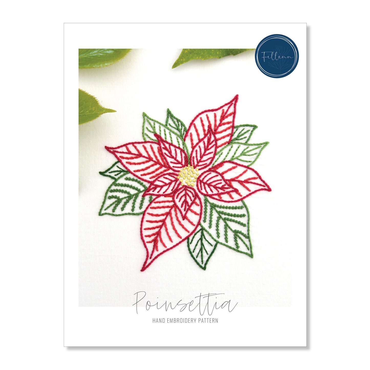 Poinsettia