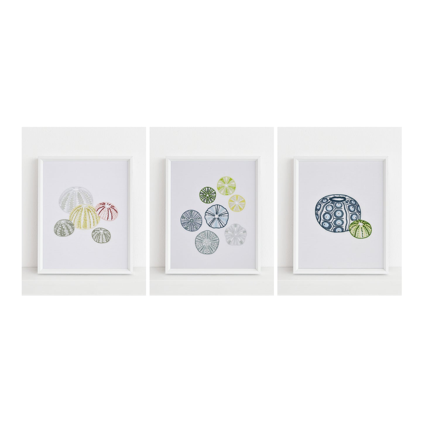 Sea Urchins