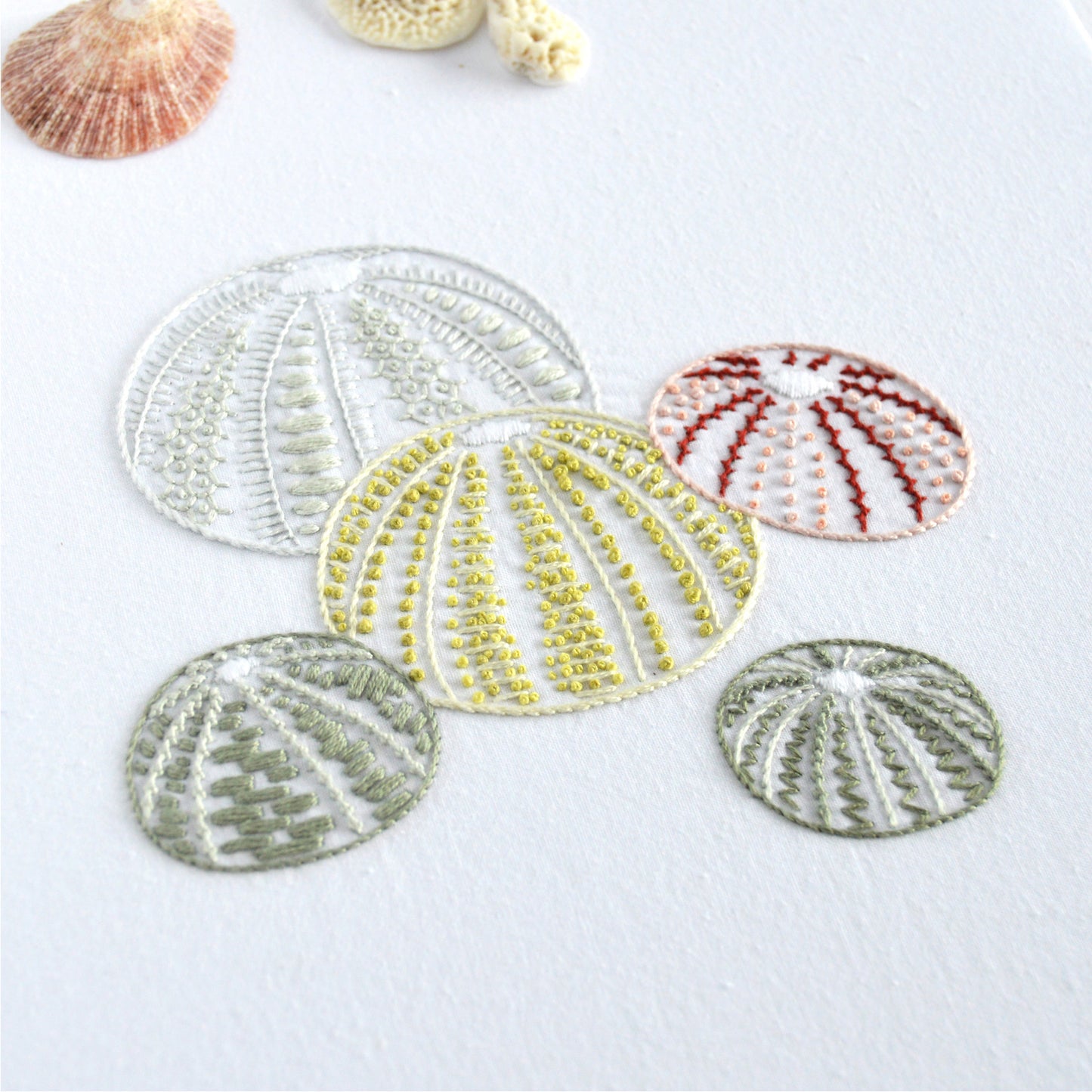 Sea Urchins I