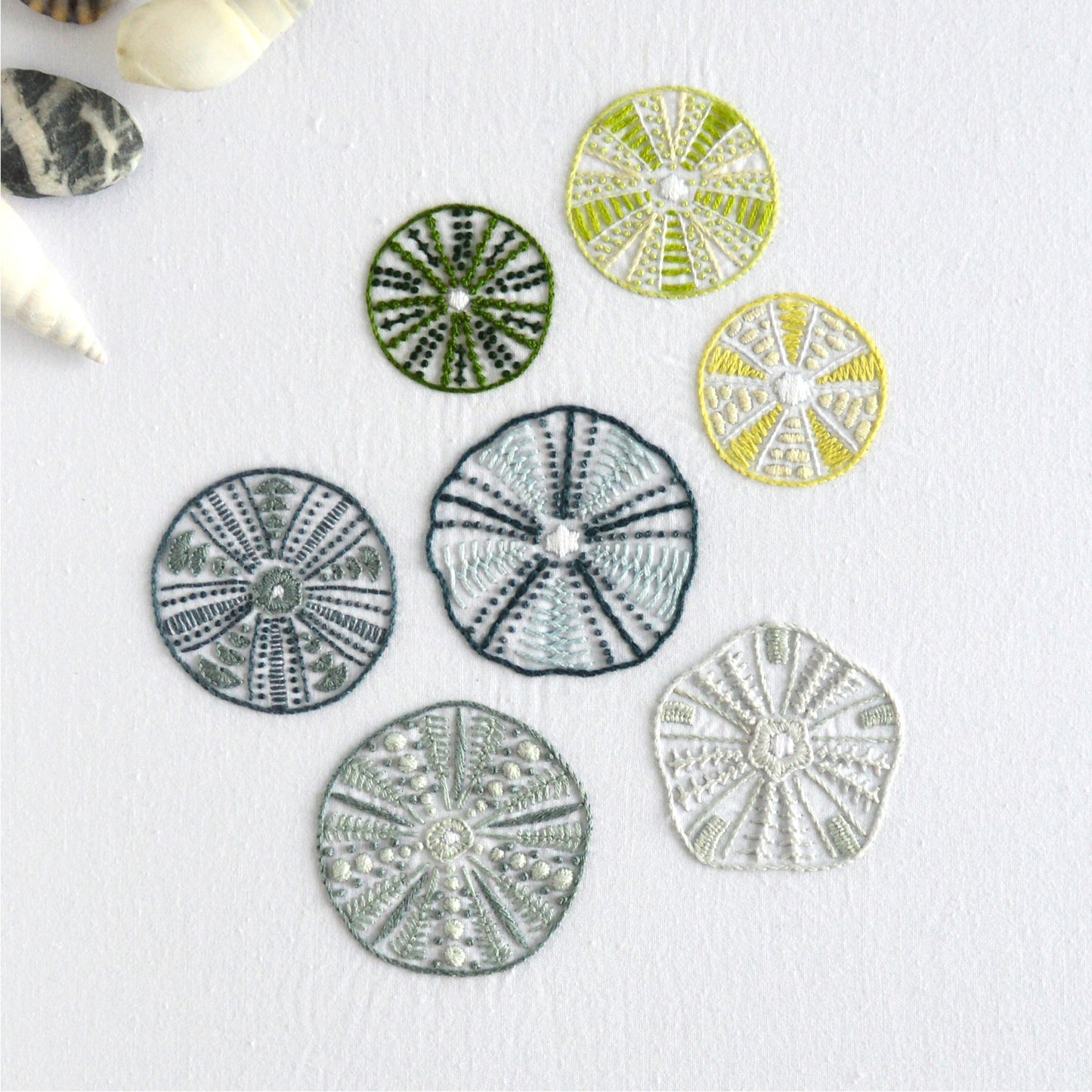 Sea Urchins II