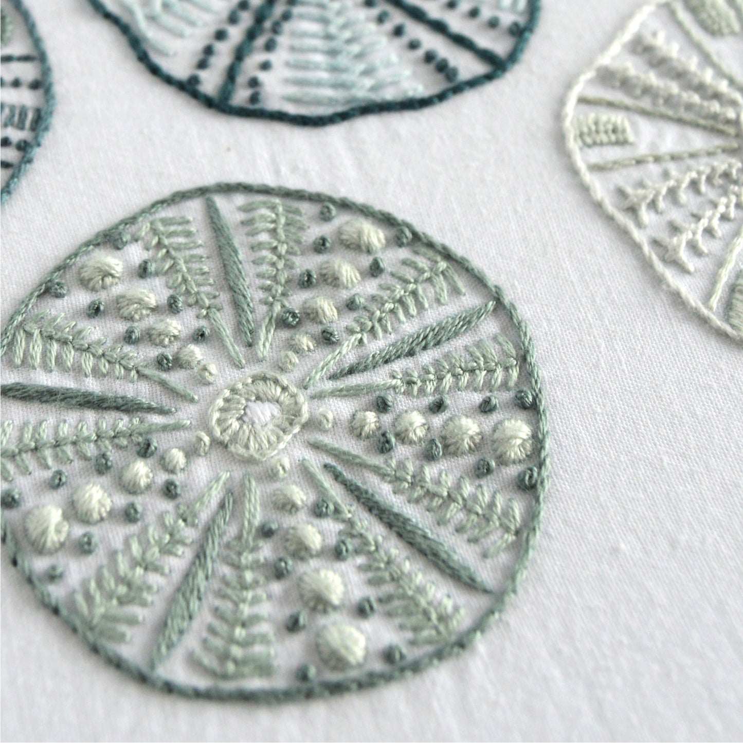 Sea Urchins II