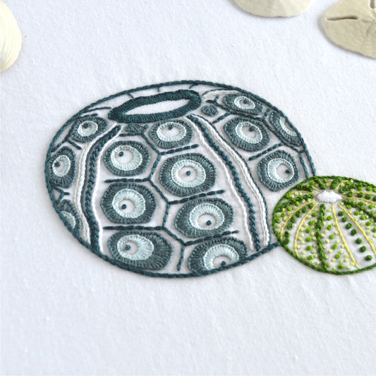 Sea Urchins III